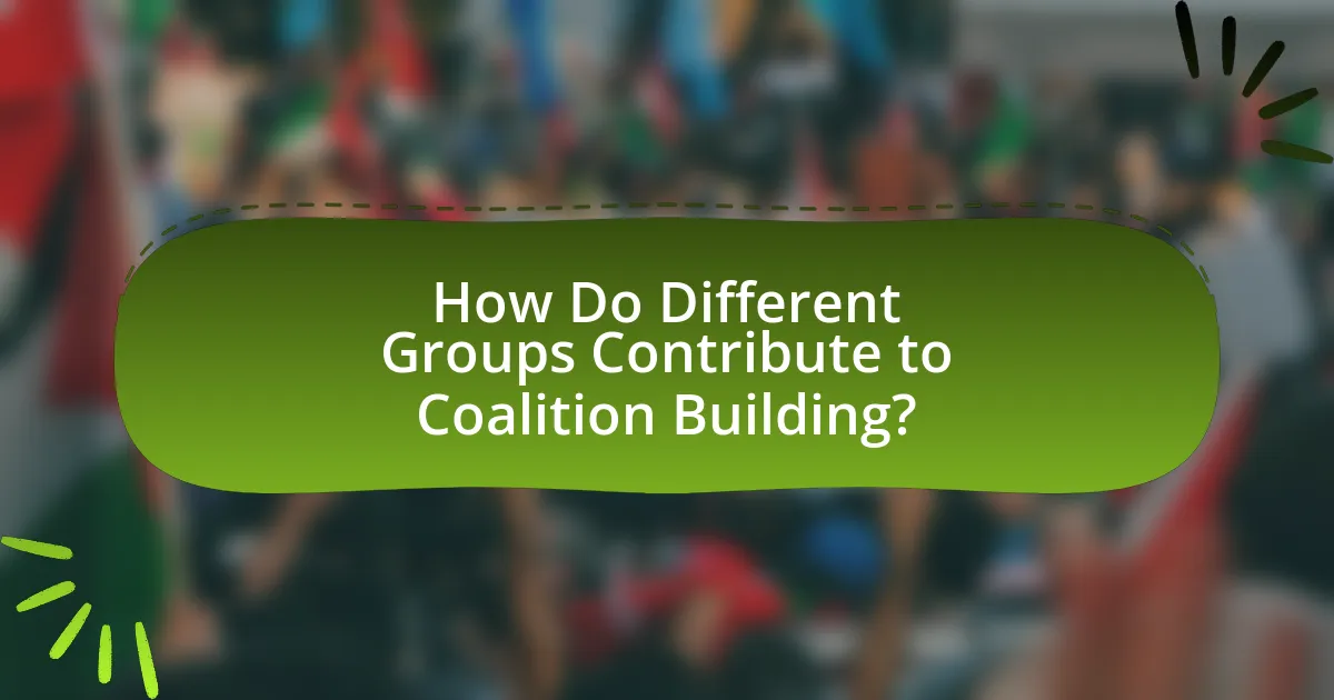 How Do Different Groups Contribute to Coalition Building?